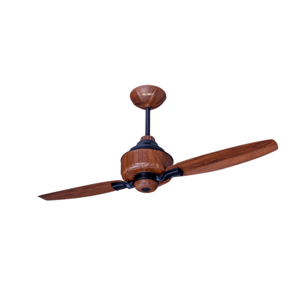 Lahore Fans:Astro-2-Blades