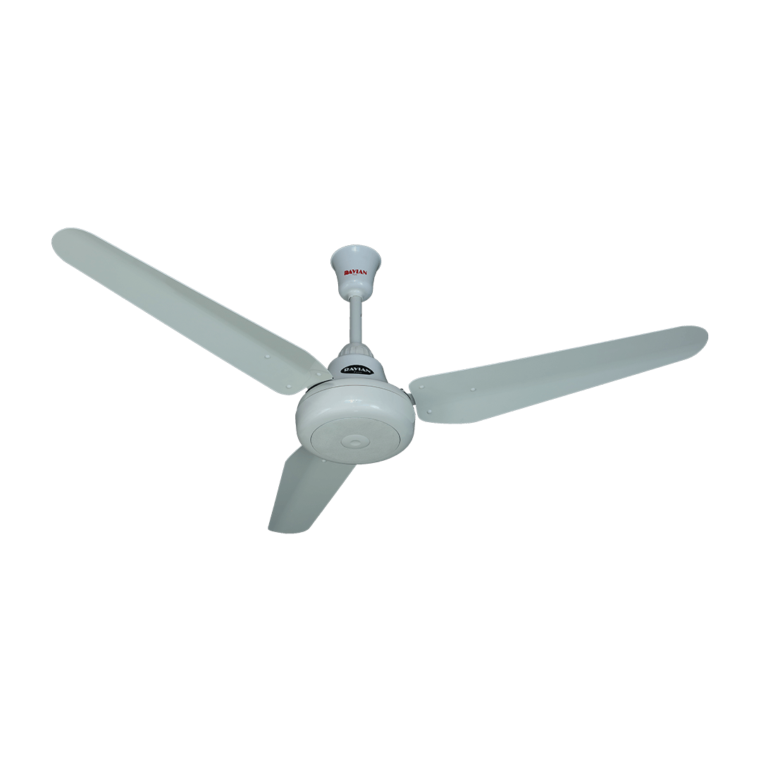 Lahore Fans:Ravian Ocean