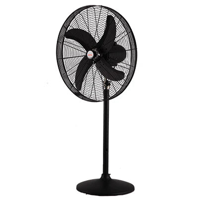 Royal fans:Royal Deluxe Pedestal Fans