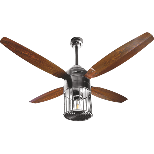 Lahore fans:Steller Super Nova