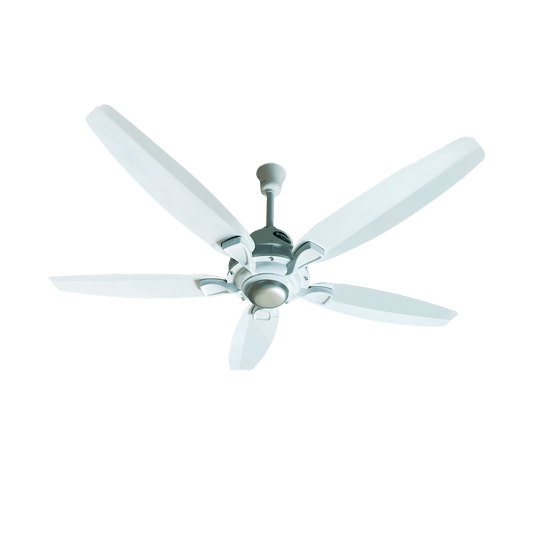 Lahore Fans:Ravian Astro