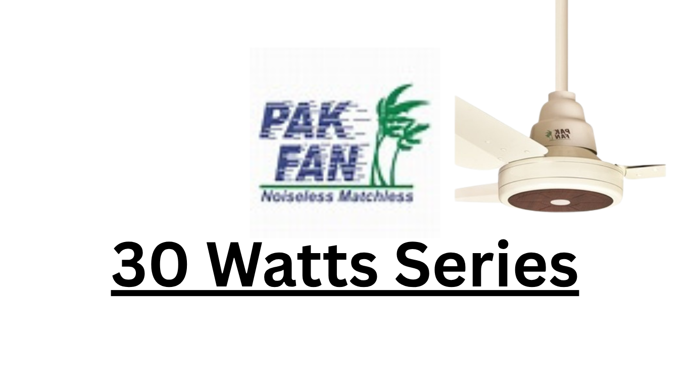 Pak Fan 30 Watts