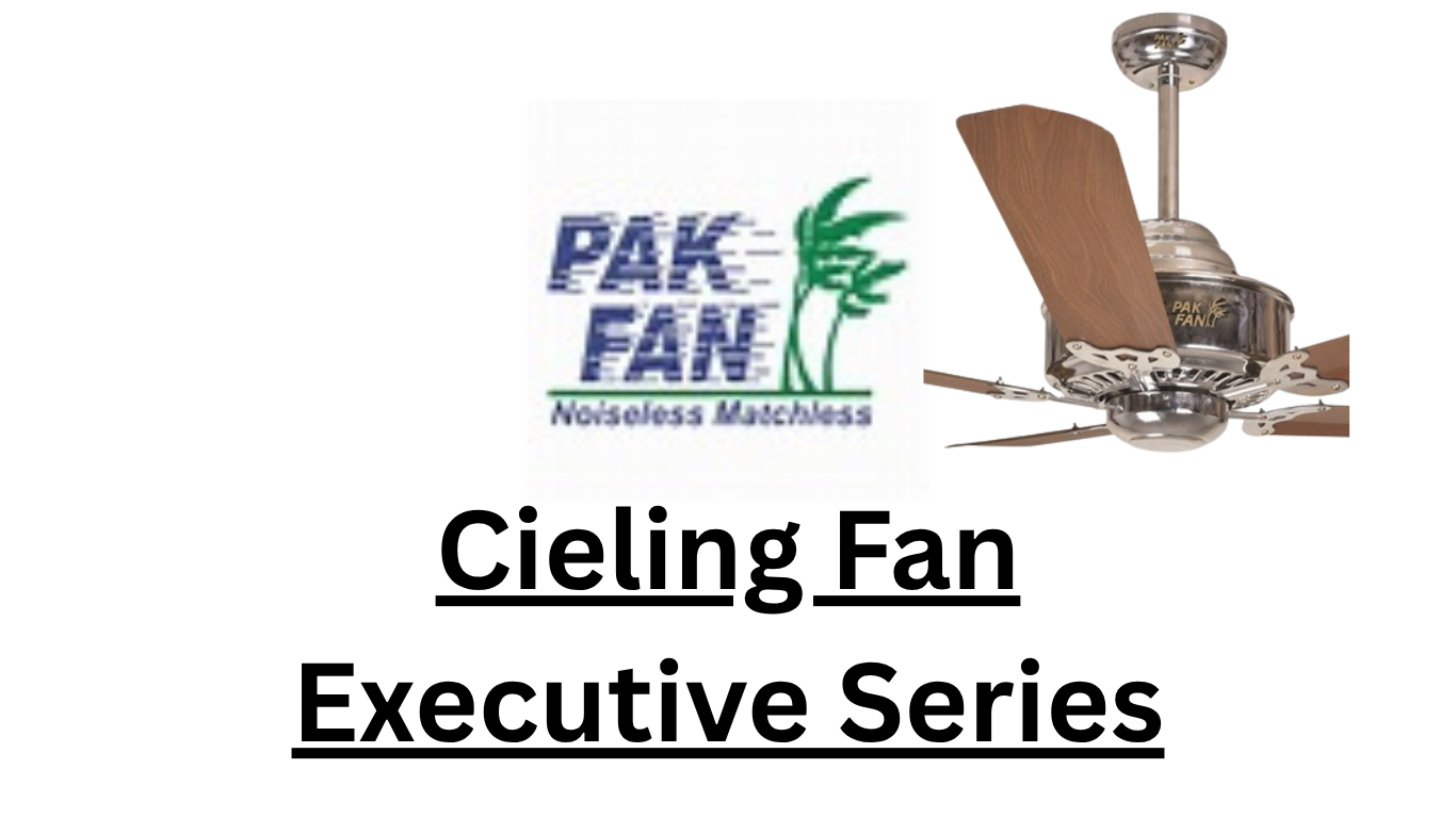 PAK FAN-Executive Series