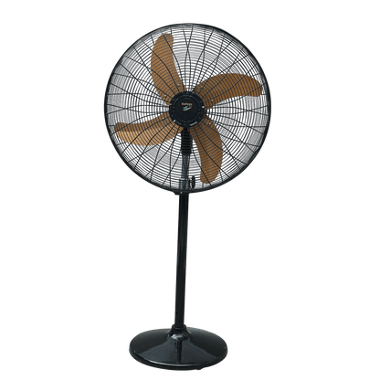 Lahore Fan:Ravian Padestal-Fan