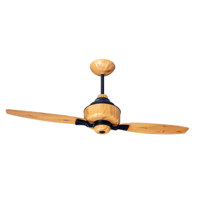 Lahore Fans:Astro-2-Blades