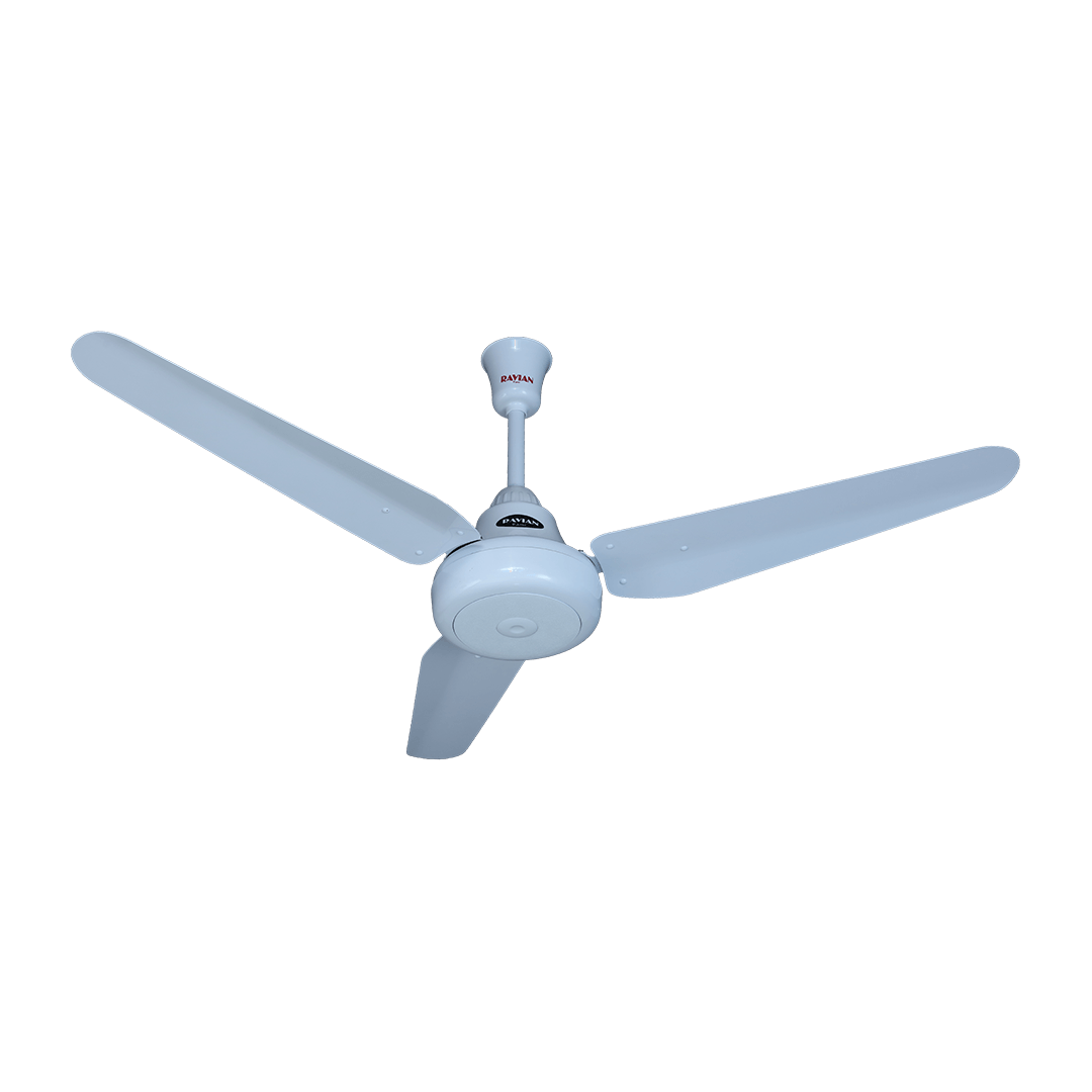 Lahore Fans:Ravian Ocean