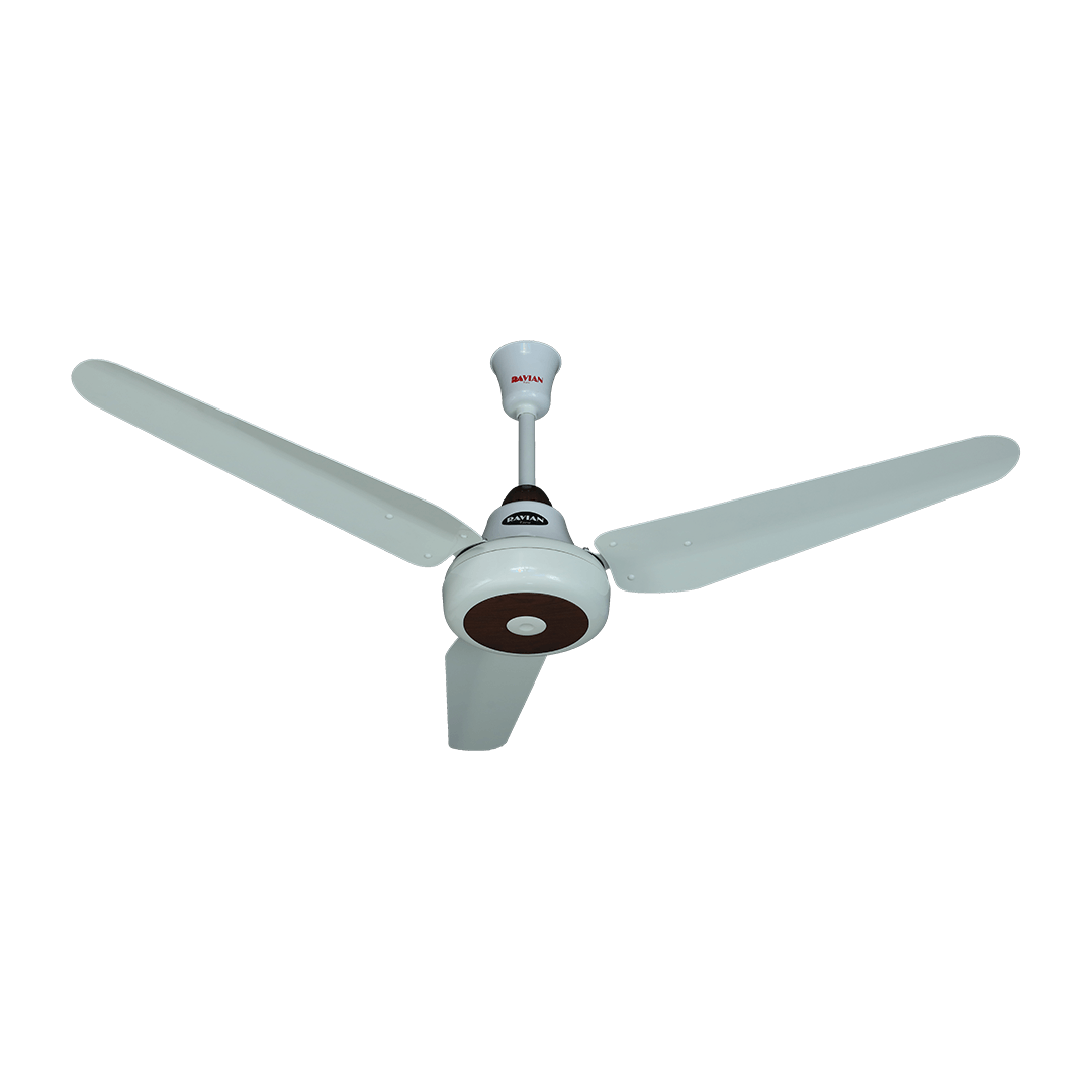 Lahore Fans:Ravian Ocean