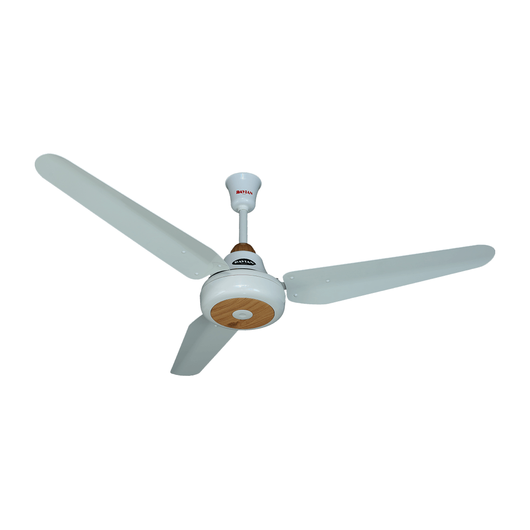 Lahore Fans:Ravian Ocean