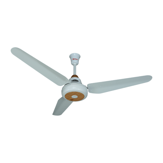 Lahore Fans:Ravian Ocean