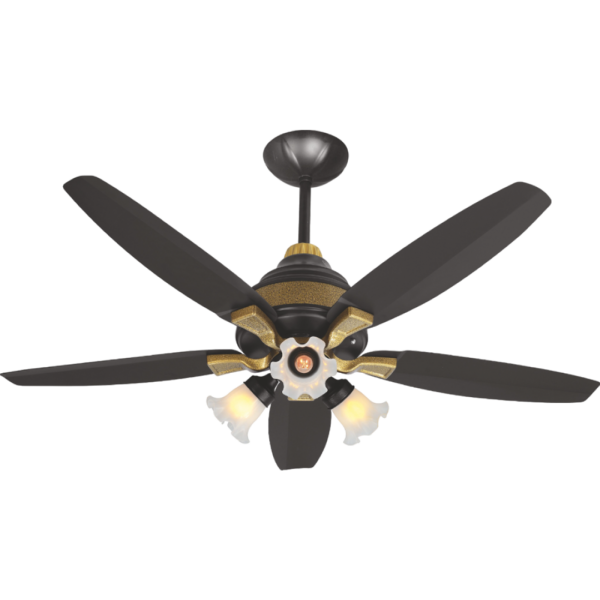 Lahore Fans:Astro-Nova