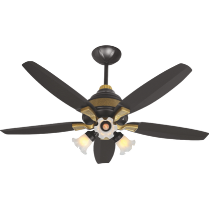 Lahore Fans:Astro-Nova