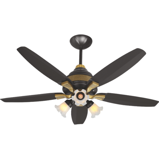 Lahore Fans:Astro-Nova