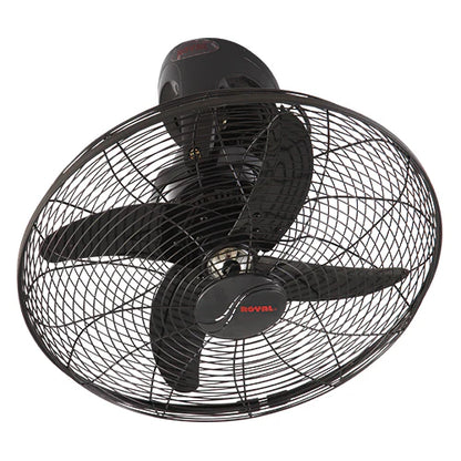 Royal Fans:Royal Plastic Circomatic Fan