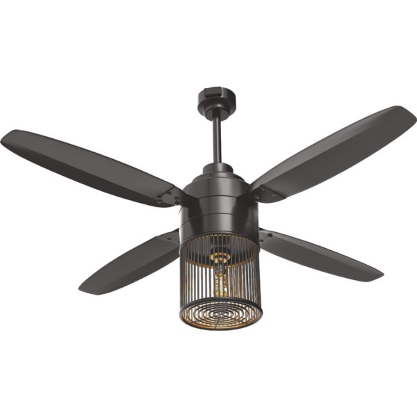 Lahore fans:Steller Super Nova