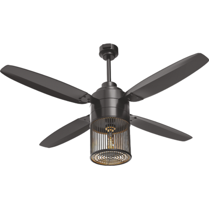 Lahore fans:Steller Super Nova