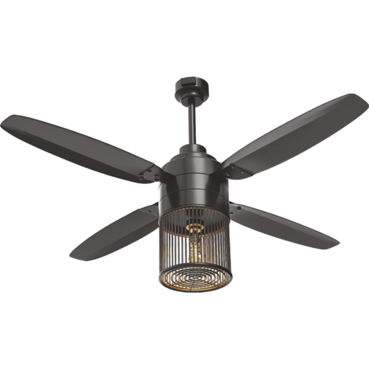 Lahore fans:Steller Super Nova