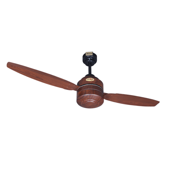 lahore Fans:Steller-2-Blades