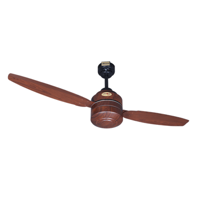 lahore Fans:Steller-2-Blades