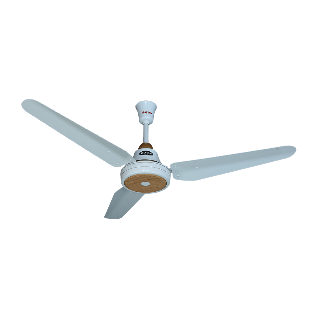 Lahore Fans:Ravian Magnum