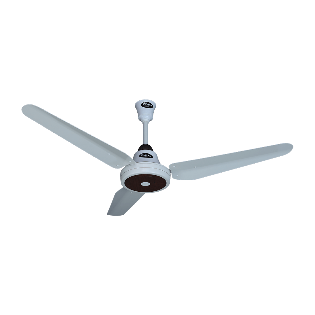 Lahore Fans:Ravian Magnum