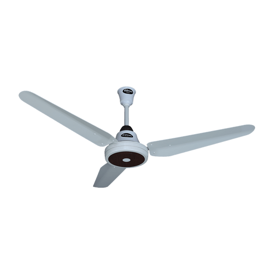 Lahore Fans:Ravian Magnum