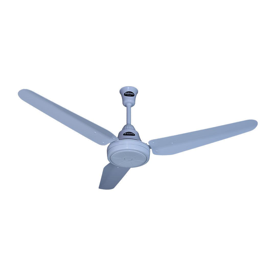 Lahore Fans:Ravian Magnum