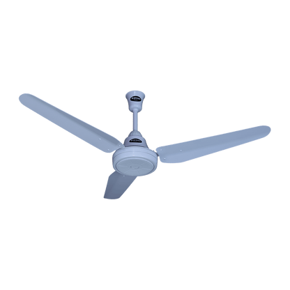 Lahore Fans:Ravian Magnum