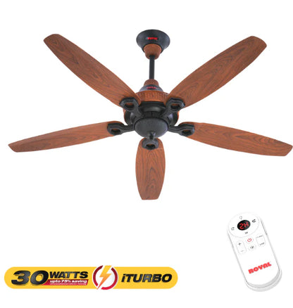 Royal Fans:Ornament - iTurbo 30 Watts Fan