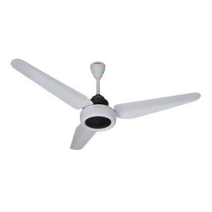 Lahore Fans:Panaflex Classic