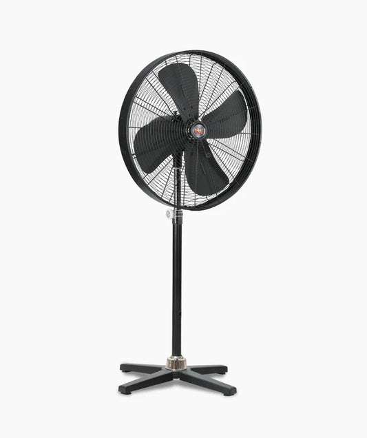 GFC Fans:Designer With Cross Base