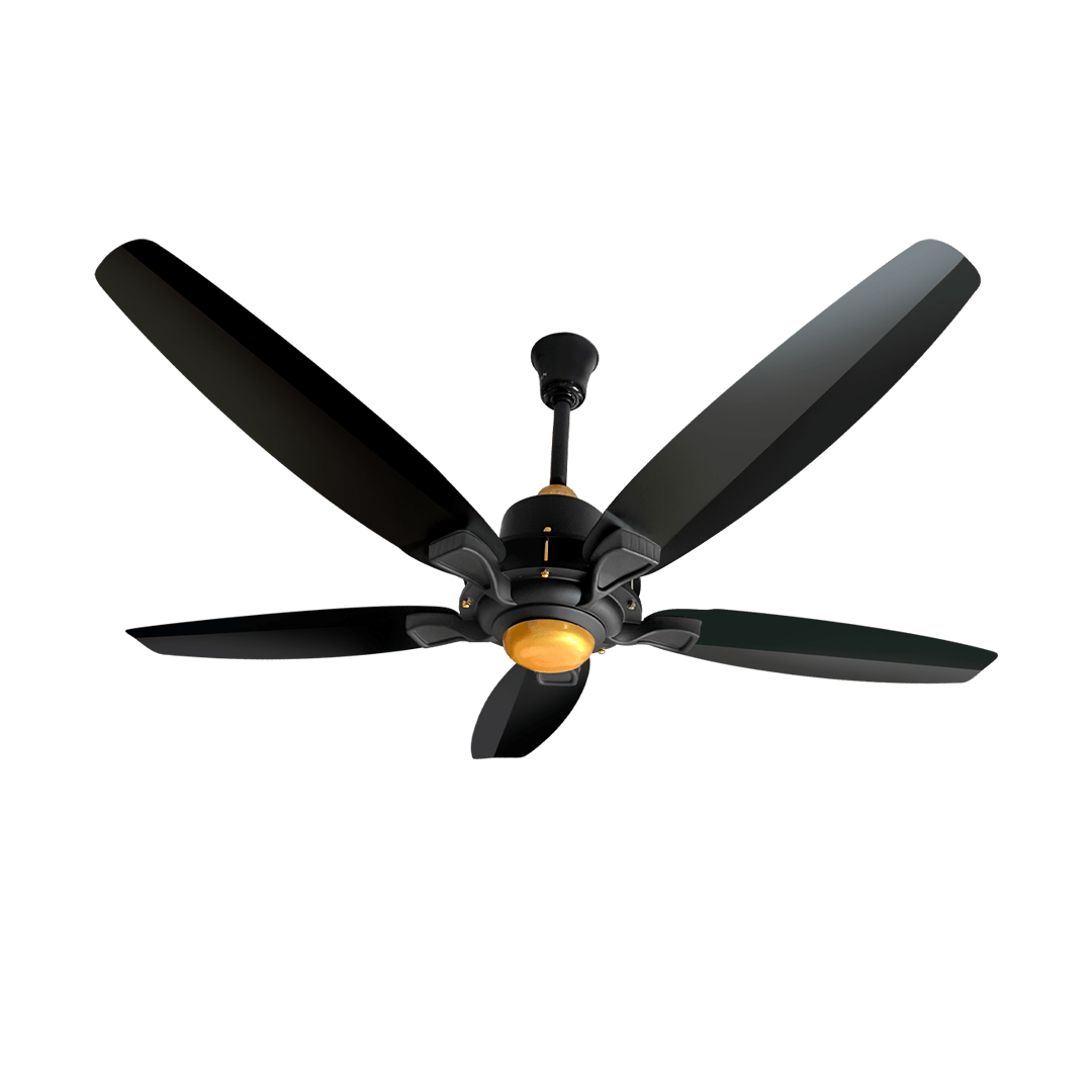 Lahore Fans:Ravian Astro