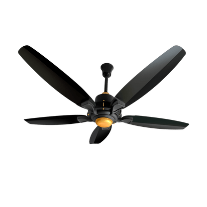 Lahore Fans:Ravian Astro