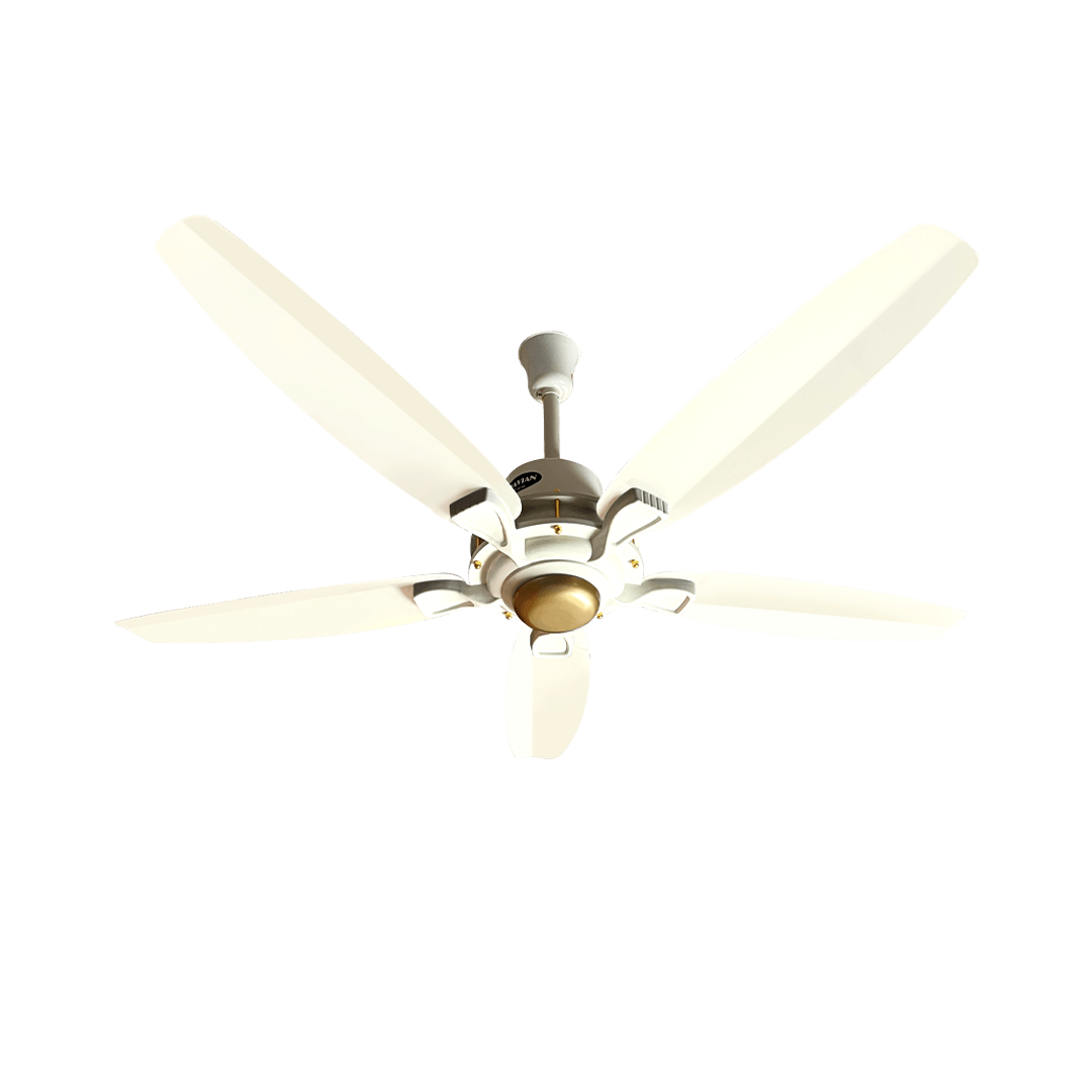 Lahore Fans:Ravian Astro