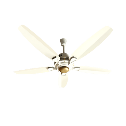 Lahore Fans:Ravian Astro