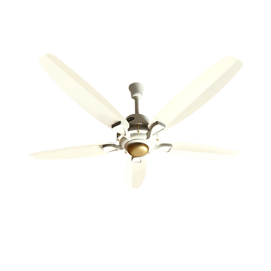 Lahore Fans:Ravian Astro