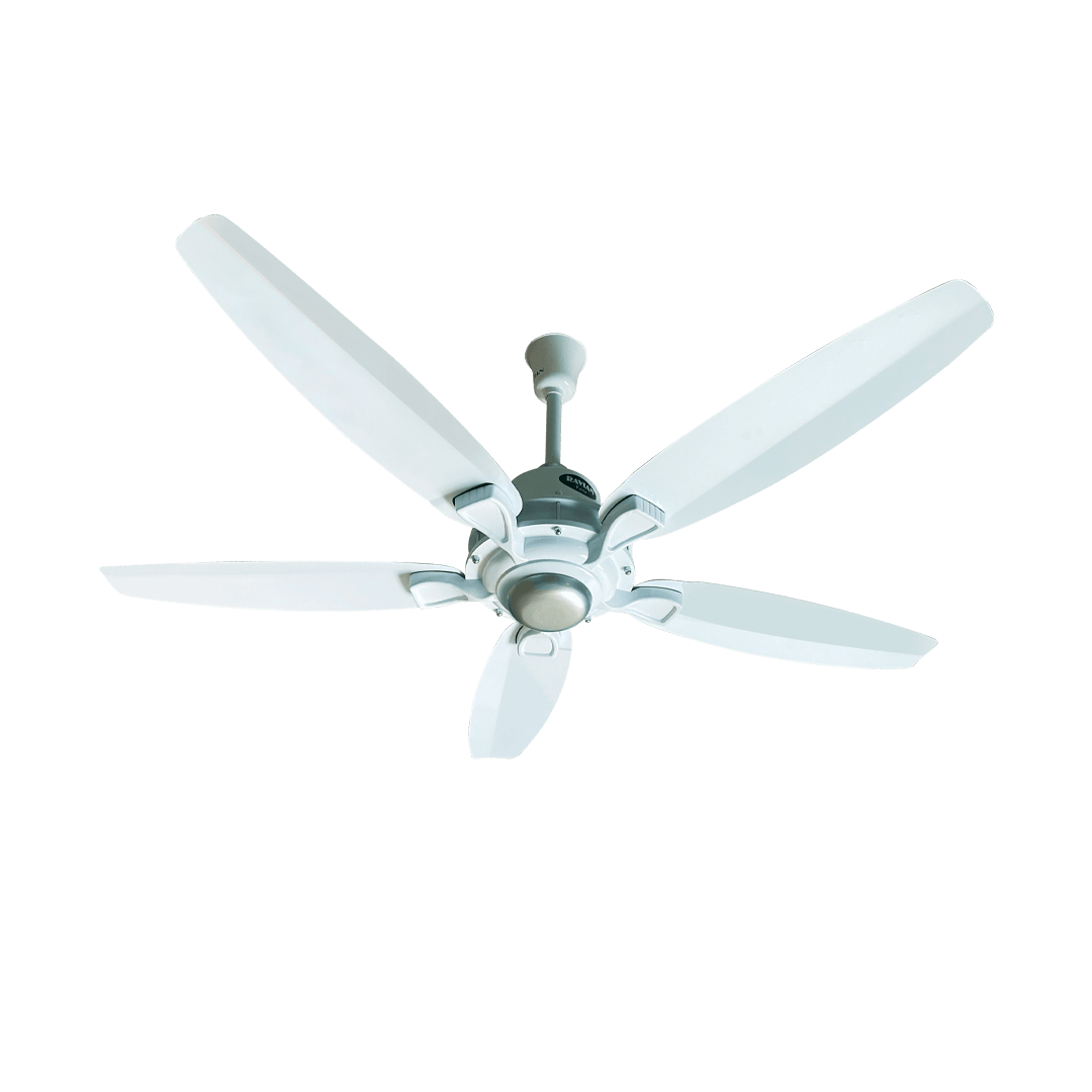 Lahore Fans:Ravian Astro