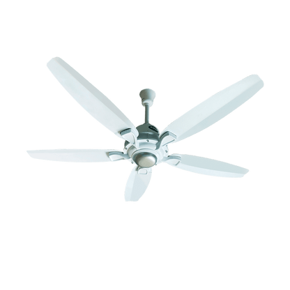 Lahore Fans:Ravian Astro