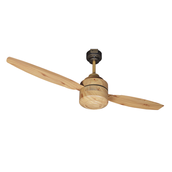 lahore Fans:Steller-2-Blades