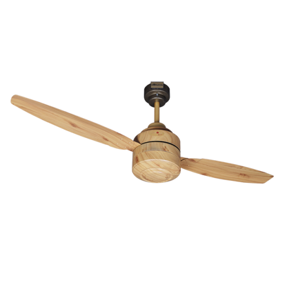 lahore Fans:Steller-2-Blades